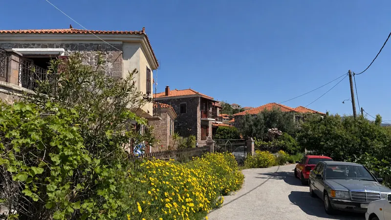 The street leading to the house