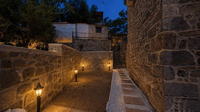Garden path and outdoor space